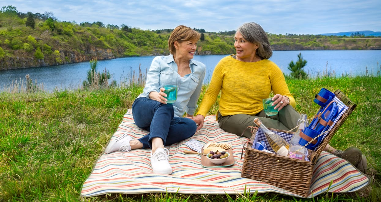 Picnic